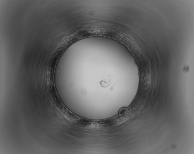 X0000097900416200803281343