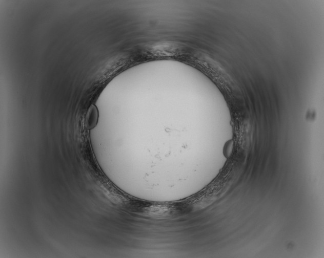 X0000097900418200803281343