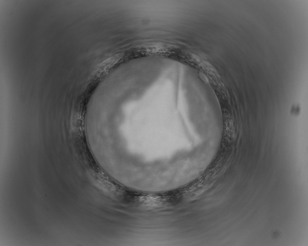 X0000097900419200803281343