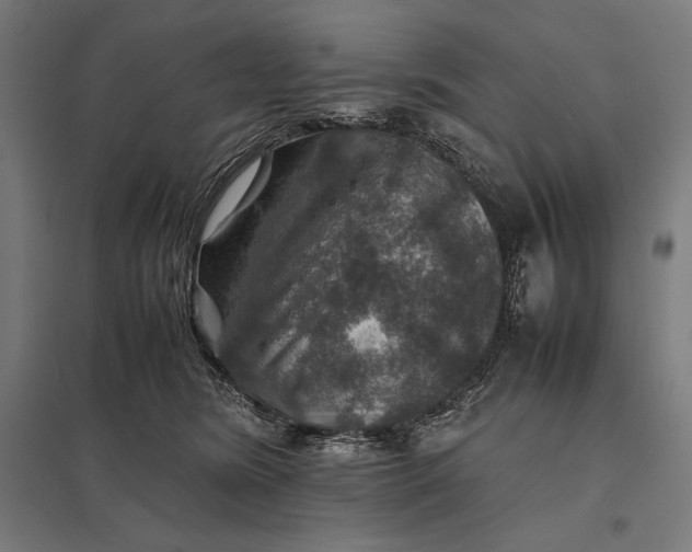 X0000097900420200803281343