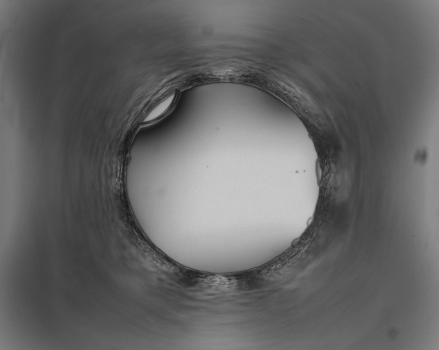 X0000097900421200803281343