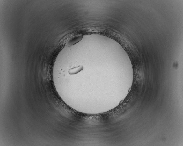 X0000097900422200803281343