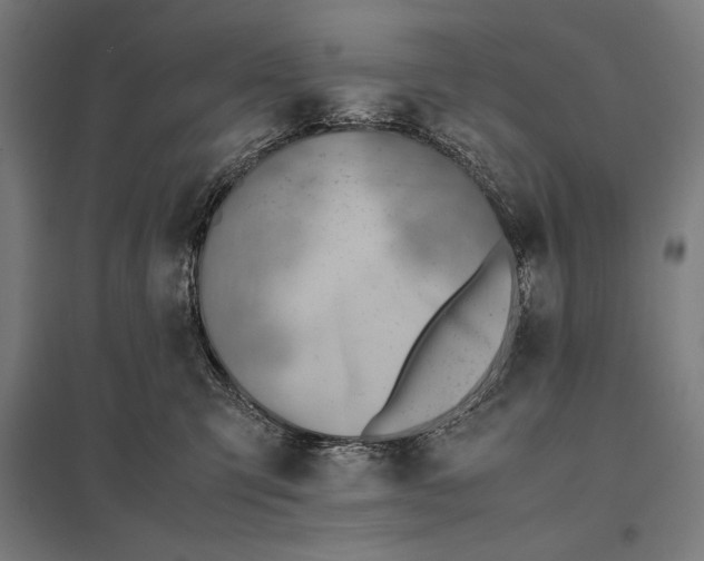 X0000097900423200803281343