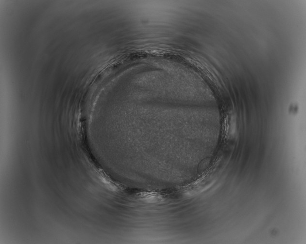 X0000097900424200803281343