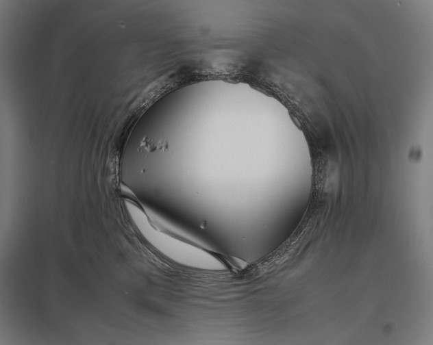 X0000097900425200803281343