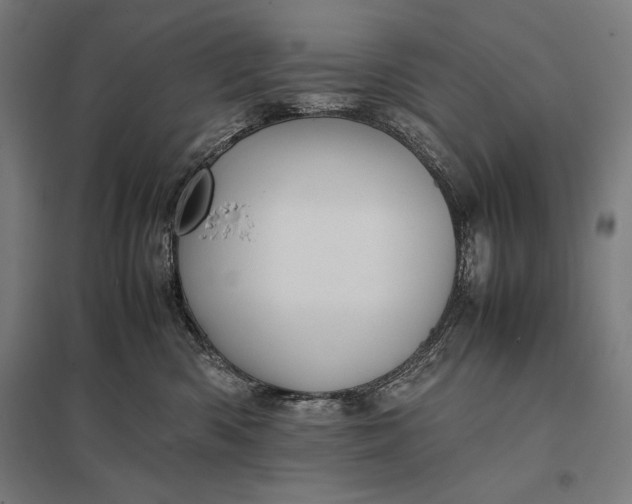 X0000097900426200803281343