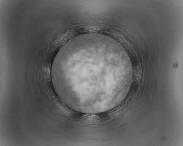 X0000097900427200803281343