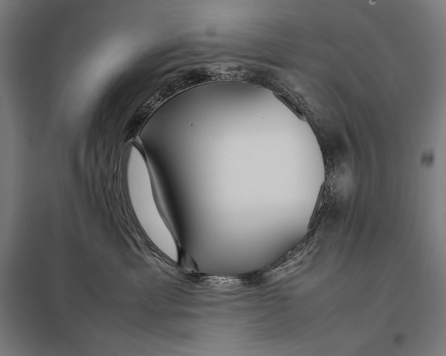 X0000097900429200803281343