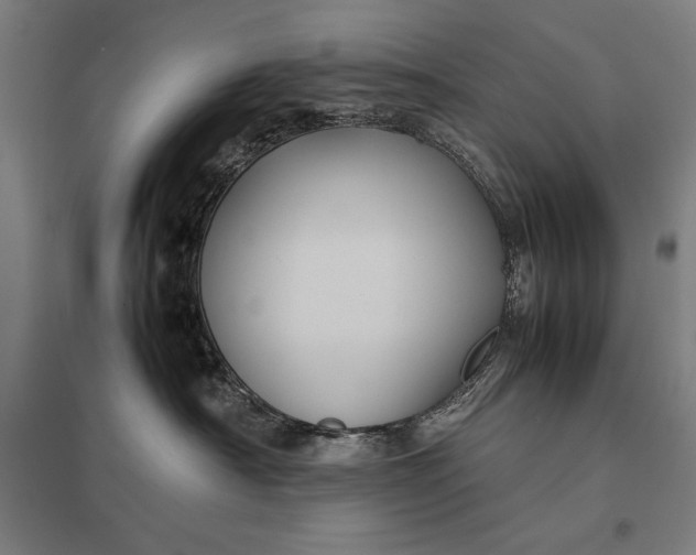 X0000097900430200803281343