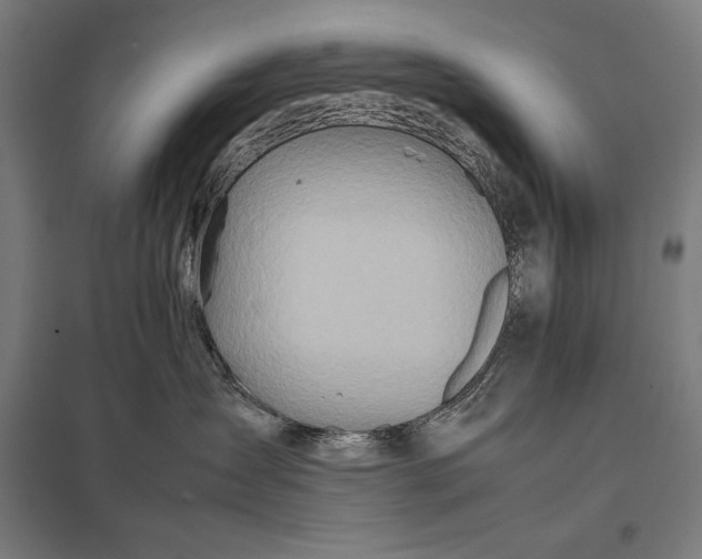 X0000097900431200803281343