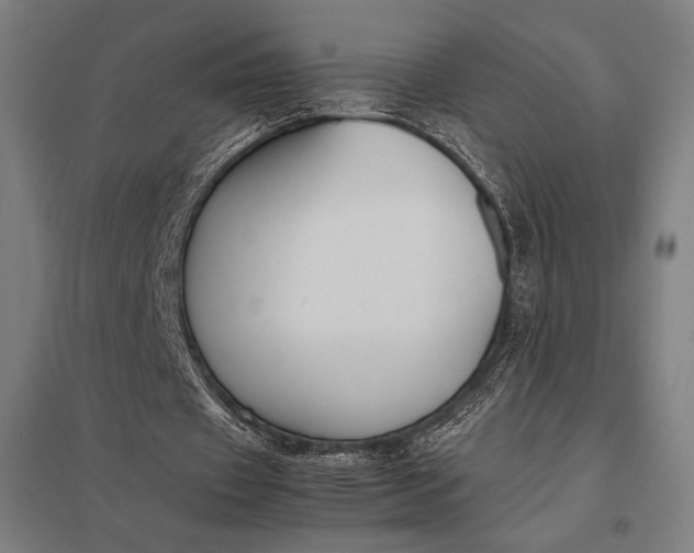 X0000097900433200803281342