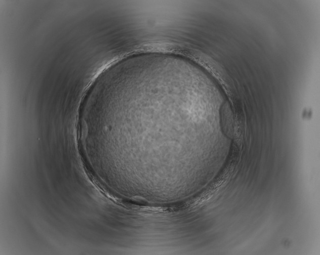 X0000097900434200803281342