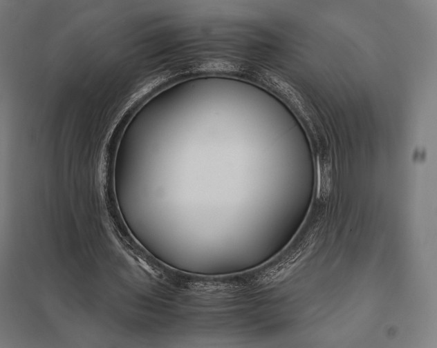 X0000097900435200803281342