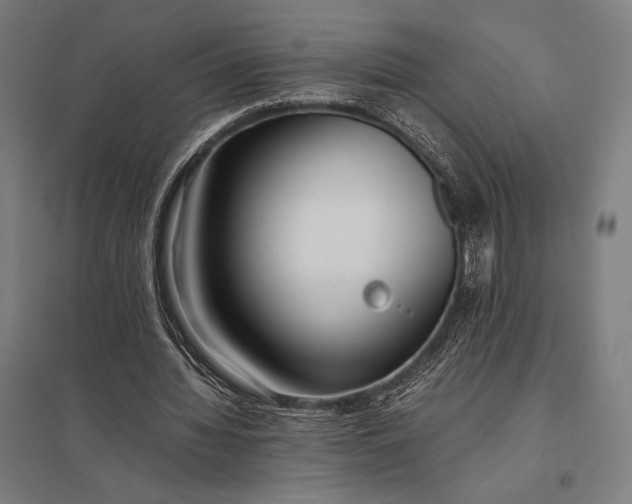 X0000097900436200803281342