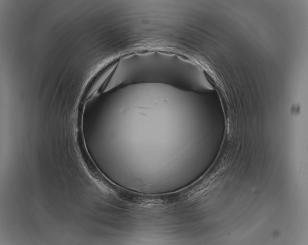 X0000097900438200803281342