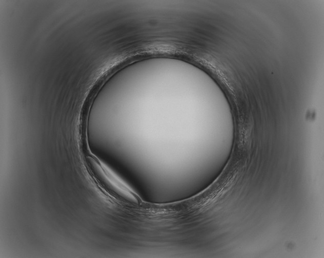 X0000097900439200803281342