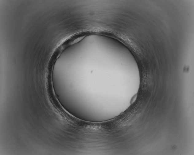 X0000097900440200803281342