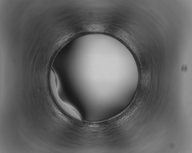 X0000097900441200803281342