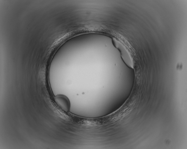 X0000097900442200803281342