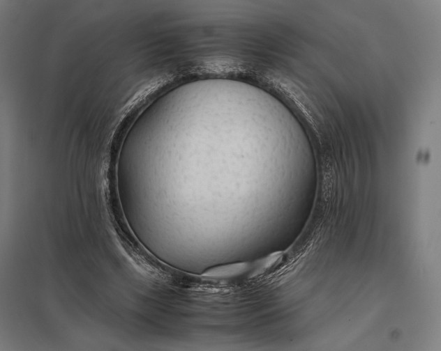 X0000097900443200803281342