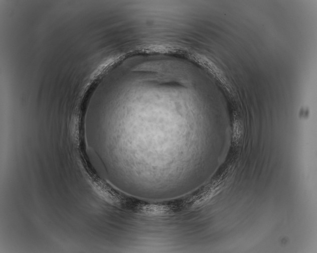 X0000097900444200803281342