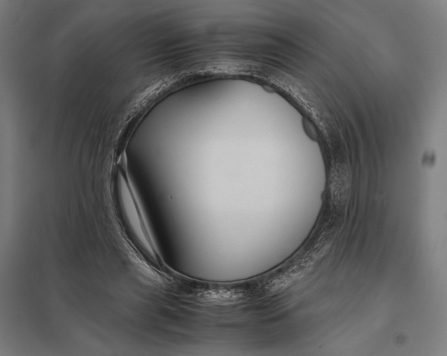 X0000097900445200803281342