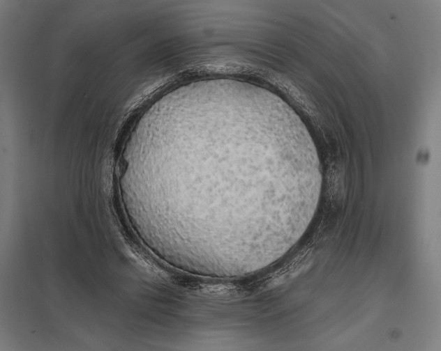 X0000097900446200803281343