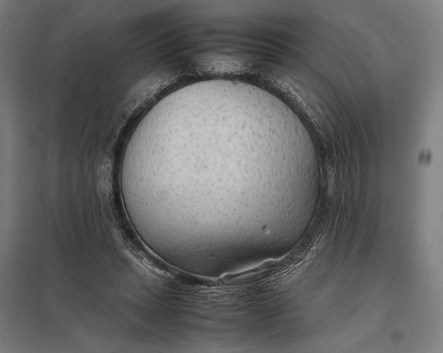 X0000097900447200803281343