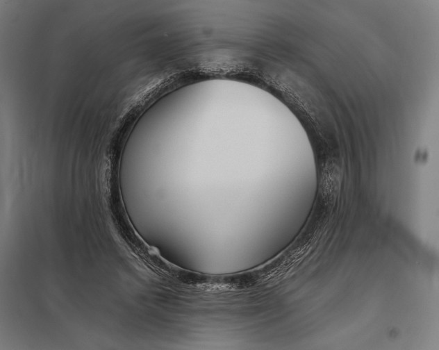 X0000097900448200803281343