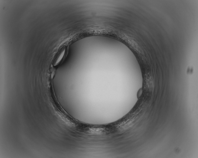 X0000097900450200803281343