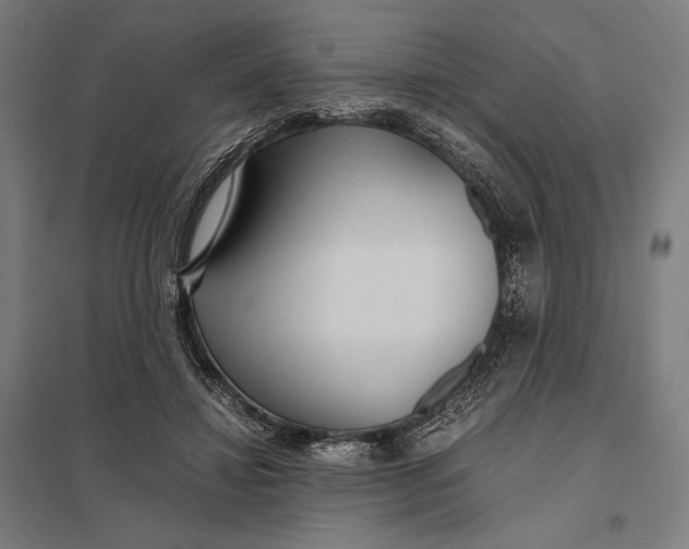 X0000097900452200803281343