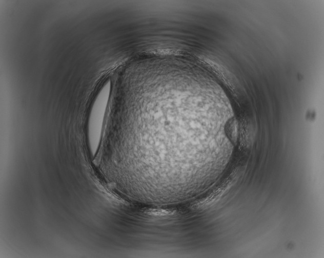 X0000097900453200803281343