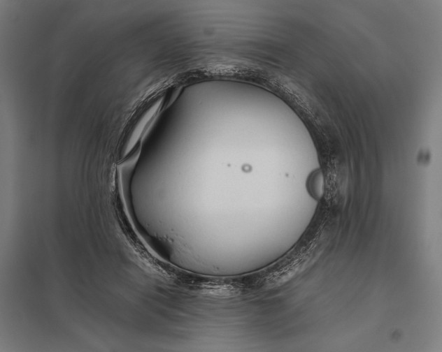 X0000097900454200803281343