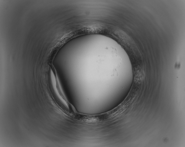 X0000097900456200803281343