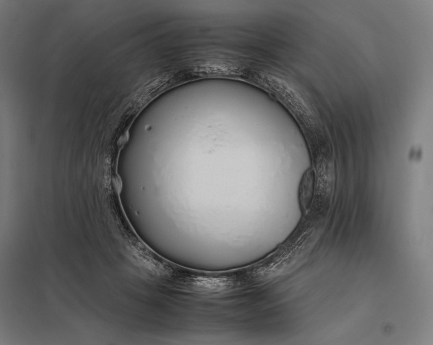 X0000097900457200803281343