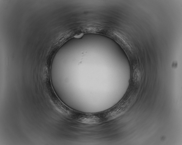 X0000097900459200803281343