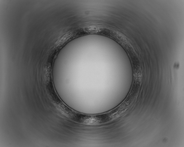 X0000097900460200803281343