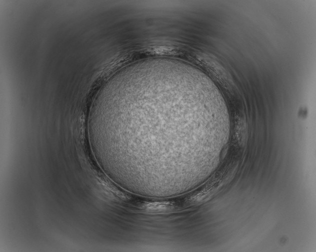 X0000097900461200803281343