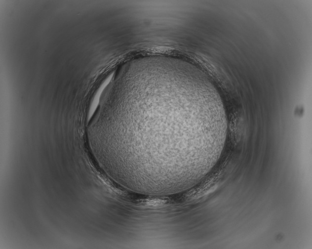 X0000097900462200803281343