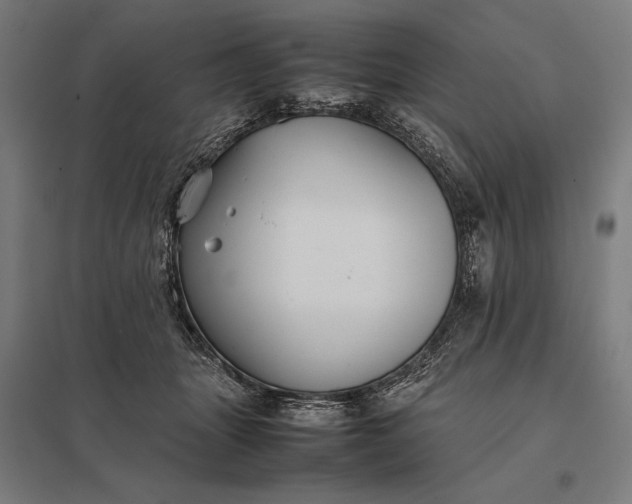 X0000097900463200803281343