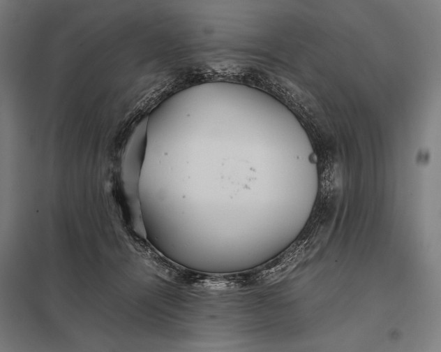 X0000097900464200803281343