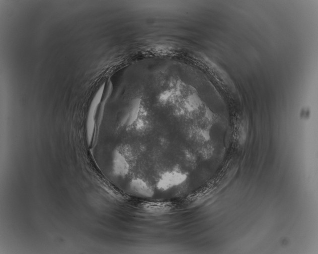 X0000097900465200803281343