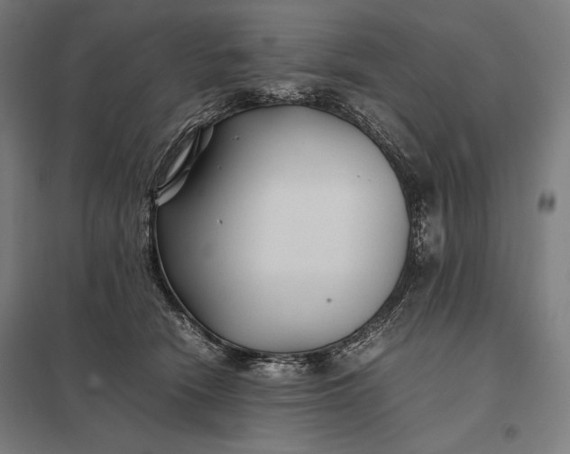 X0000097900466200803281343