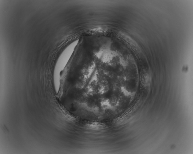 X0000097900467200803281343