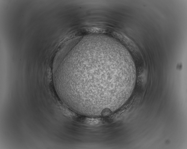 X0000097900469200803281343