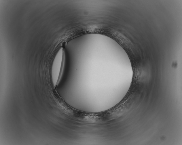 X0000097900470200803281343