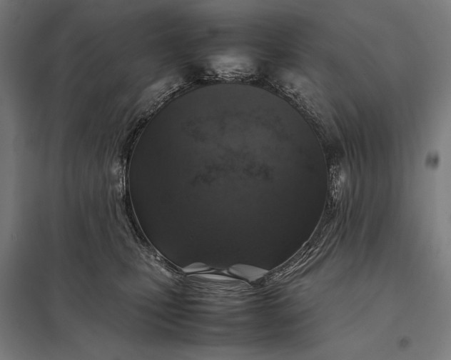 X0000097900471200803281343