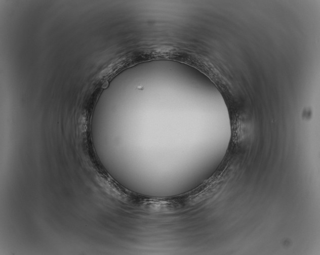 X0000097900472200803281343