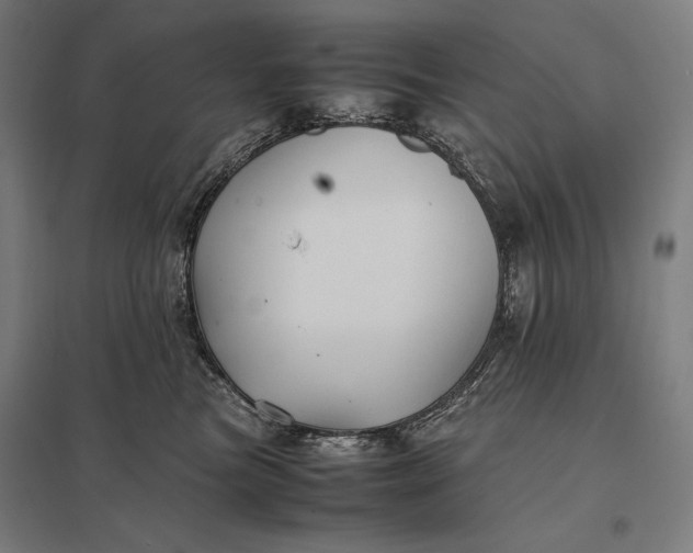 X0000097900473200803281343