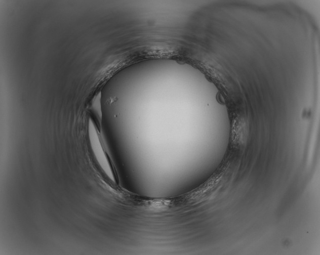 X0000097900474200803281343